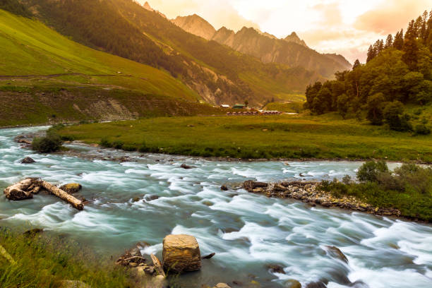 Sonmarg golden meadow on the road to Ladakh